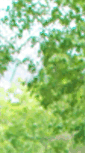 Mobile Screenshot of breweryrunningseries.com